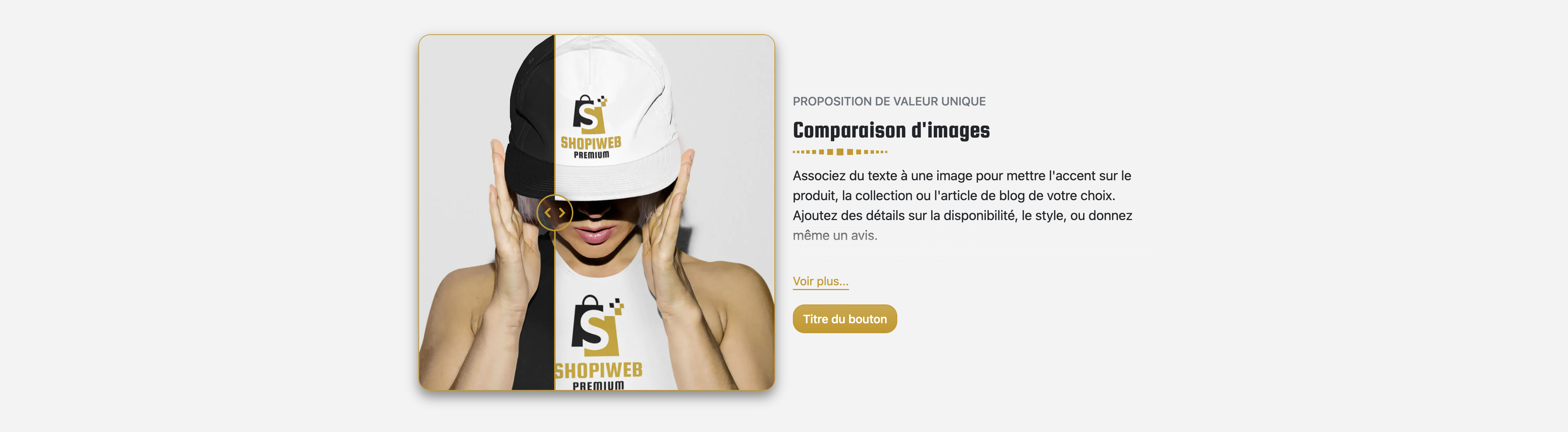 Capture d'écran de la section IMAGE COMPARAISON sur une boutique e-commerce construite avec le thème français SHOPIWEB PREMIUM